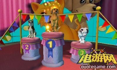 [3DS]与小猫小狗一起玩欧版游戏截图5