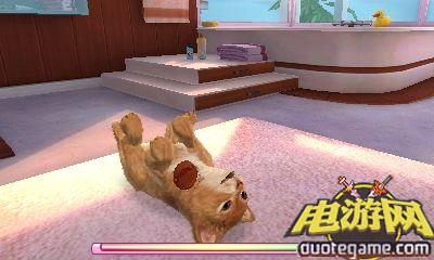 [3DS]与小猫小狗一起玩欧版游戏截图1