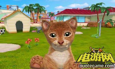 [3DS]与小猫小狗一起玩欧版游戏截图2