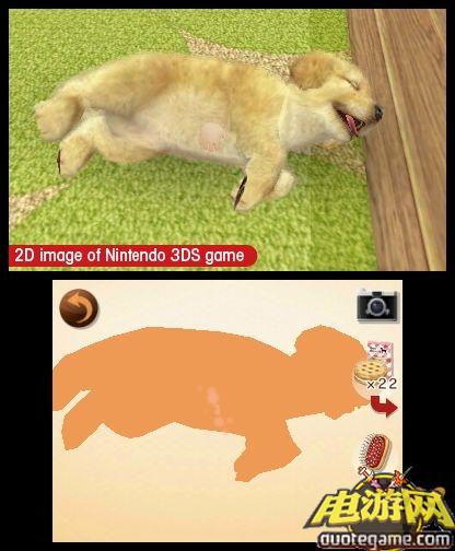 [3DS]任天猫狗：贵妇犬与新朋友日版游戏截图11