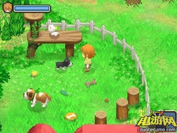 [3DS]牧场物语：双子村3D欧版游戏截图9