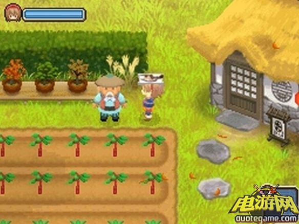 [3DS]牧场物语：双子村3D欧版游戏截图3