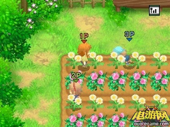 [3DS]牧场物语：双子村3D欧版游戏截图5