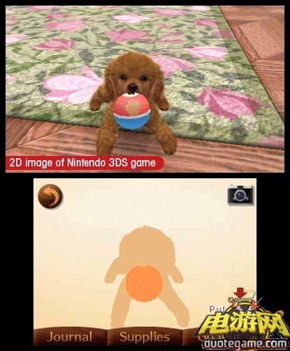 [3DS]任天猫狗：贵妇犬与新朋友日版游戏截图5