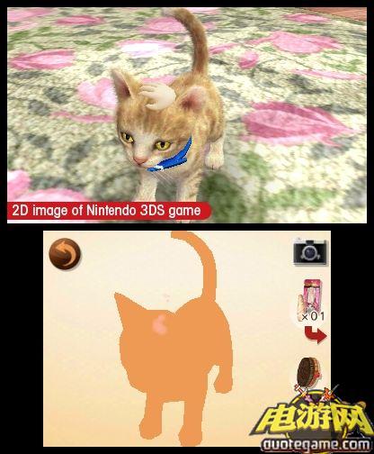 [3DS]任天猫狗：贵妇犬与新朋友日版游戏截图6