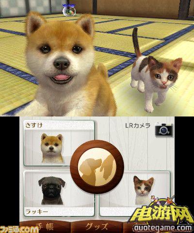 [3DS]任天猫狗：法国斗牛犬与新伙伴繁体中文版游戏截图3